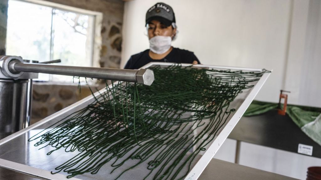 Aceptamos cooperación de EU y Canadá, pero sin injerencia: Secretaría del&nbsp;Trabajo