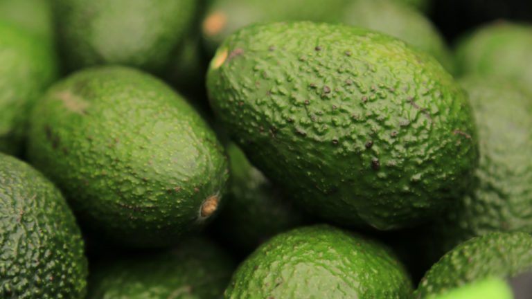 La agroindustria mexicana avanza en crisis de coronavirus por incremento en&nbsp;exportaciones