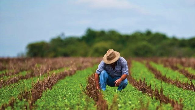 Consejo Nacional Agropecuario estima pérdida de empleos del 20% en el&nbsp;campo