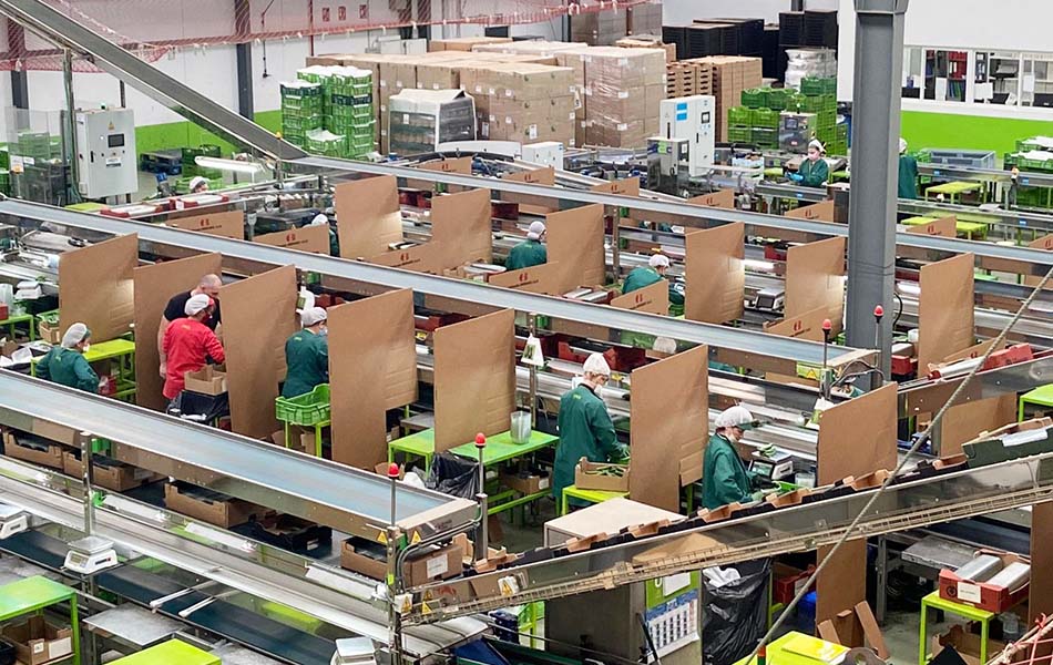 Separadores de cartón evitan la propagación de&nbsp;coronavirus