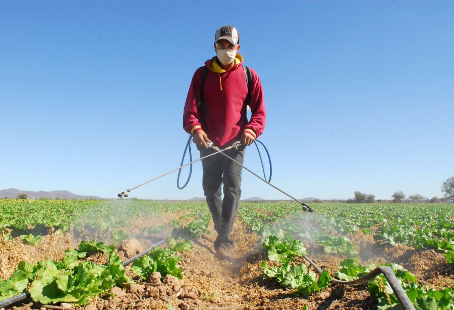 Jornaleros agrícolas ponen a prueba obligaciones laborales de EU en el&nbsp;T-MEC
