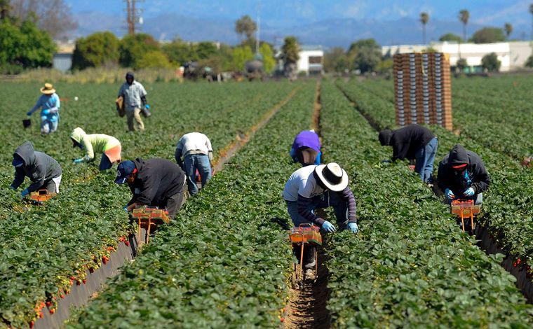 Empleo en Estados Unidos se recupera más de lo previsto en&nbsp;julio