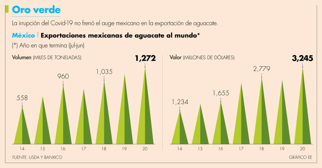 Pandemia no frena auge&nbsp;aguacatero