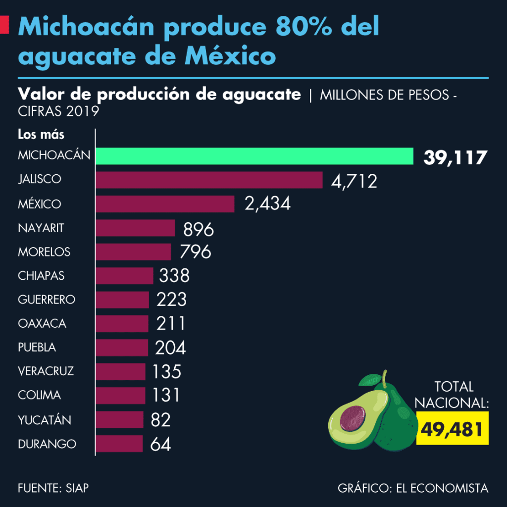 Michoacán produce 80% del aguacate de&nbsp;México