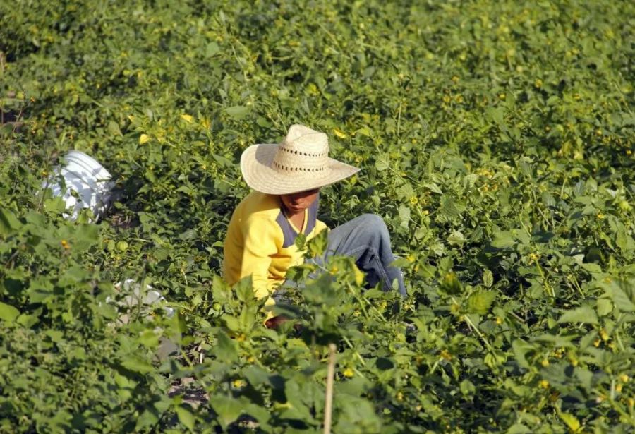México entra a la lista de países con las peores formas de trabajo&nbsp;infantil