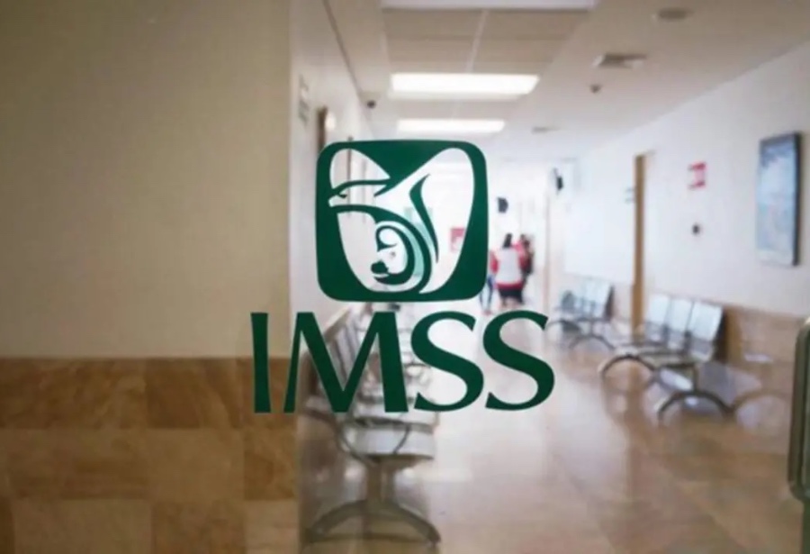 Las claves del nuevo programa piloto del IMSS para trabajadores&nbsp;independientes