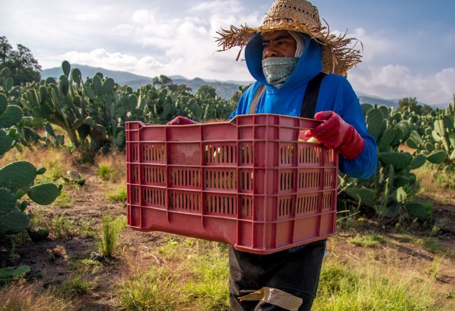 IMSS reportó creación de 47,919 empleos en enero, la cifra más baja desde&nbsp;2014