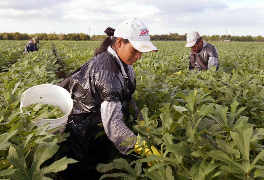 Trabajadoras mexicanas presentan la primera queja laboral contra EU vía&nbsp;T-MEC