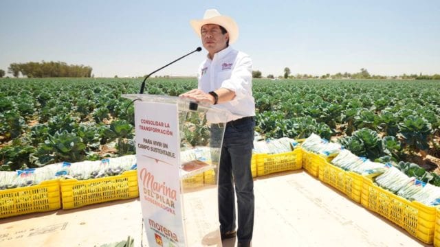 Morena no recurre a tarjetas para comprar el voto:&nbsp;Delgado