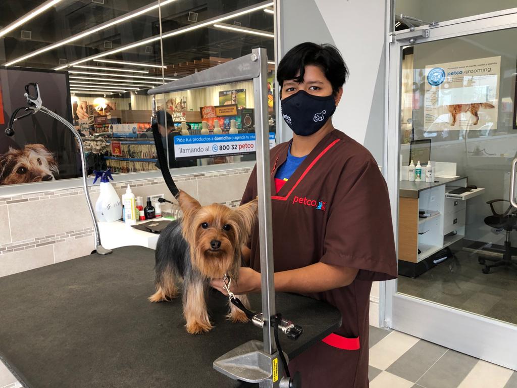 PETCO Se Pone Perruno Para Celebrar El Día Internacional Del&nbsp;Perro