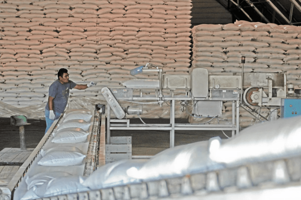 Sindicato de Trabajadores de la Industria Azucarera se alista para renovar su Comité Ejecutivo&nbsp;Nacional