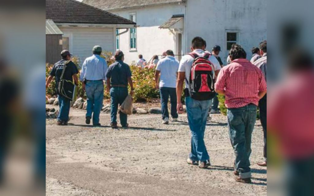 Leyes para trabajadores migrantes se necesitan ajustar, pide la&nbsp;OIT