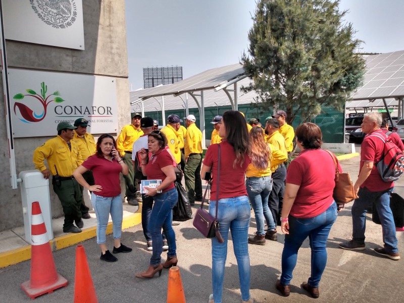 Conafor incumple con condiciones laborales de&nbsp;brigadistas